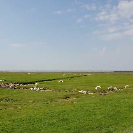 Kleines Haeuschen Am Deich, Vor Den Toren Von Sylt Villa Emmelsbüll-Horsbüll Exteriör bild