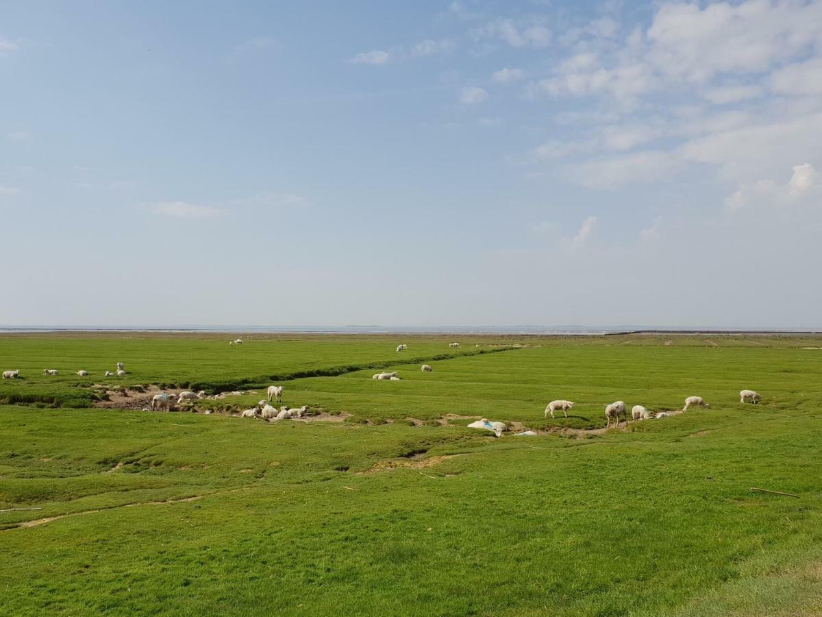 Kleines Haeuschen Am Deich, Vor Den Toren Von Sylt Villa Emmelsbüll-Horsbüll Exteriör bild